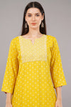 Printed Straight Kurta with Contrast Panel